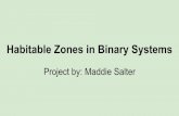 Habitable Zones in Binary Systems