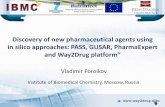 Discovery of new pharmaceutical agents using in silico ...