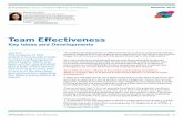 Team Effectiveness - LauberTracy