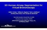 3D Human Airway Segmentation for Virtual Bronchoscopy