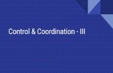 Control & Coordination - III