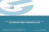 Requirements Excellence Framework™ Overview STAKEHOLDER ...