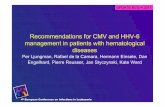 Recommendations for CMV and HHV-6 management in patients ...