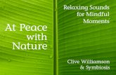 Relaxing Sounds for Mindful t Peace N