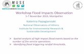 Workshop Flood Impacts Observation - so-ii