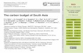 The carbon budget of South Asia
