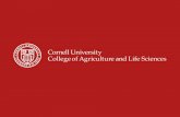 Food Science Programming in Cornell University’s