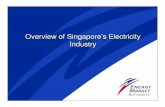 Overview of Singapore’s Electricity Industry