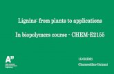 Lignins: from plants to applications In biopolymers course ...