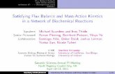Satisfying Flux Balance and Mass-Action Kinetics in a ...