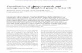 Coordination of chondrogenesis and osteogenesis by ...