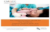 Implementation Guide to Support Vaginal Birth and Reduce ...