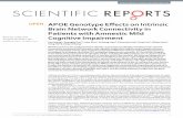 APOE Genotype Effects on Intrinsic Brain Network ...
