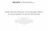 Peste Porcina Africana: virus Georgia 2007 y la Actual ...