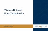 Microsoft Excel Pivot Table Basics
