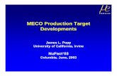 MECO Production Target Developments