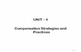 UNIT 4 Compensation Strategies and Practices