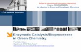 Enzymatic Catalysis/Bioprocesses in Green Chemistry.