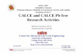 CALCE and CALCE Pb-free Research Activities