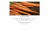 Carrots - AUSVEG