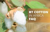 Bt Cotton in Africa
