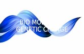 Bio Module 6: Genetic Change