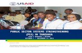 PUBLIC SECTOR SYSTEMS STRENGTHENING (PS3) IN TANZANIA