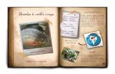 piranha - zoo.montpellier.fr