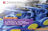 A QUICK GUIDE TO PIPE & FLANGE PROTECTION