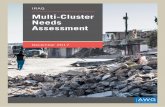 Multi Cluster Needs Assessment - humanitarianresponse.info