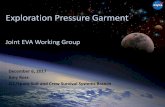 Joint EVA Working Group - NASA