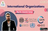 International Organizations PPT