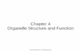 Chapter 4 Organelle Structure and Function