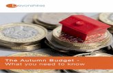The Autumn Budget - What you need to know