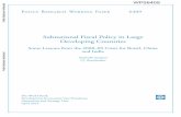 Subnational Fiscal Policy in Large Developing Countries