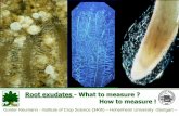 Root exudates - What to measure ? How to measure