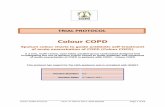 Colour COPD - njl-admin.nihr.ac.uk