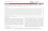 Developmental genetics of the COPD lung