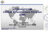 USTRANSCOM Critical Infrastructure Program (CIP)