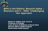 BPH in the Elderly: Beyond Alpha Blockers and 5 ARIs ...