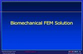 Biomechanical FEM Solution