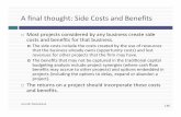 A ﬁnal thought: Side Costs and Beneﬁts