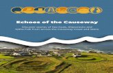 Echoes of the Causeway - niarchive.org
