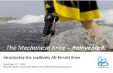 The Mechanical Knee Reinvented. - AOPA