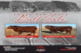 YOUNG RED ANGUS Bu Sale