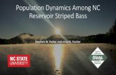 Population Dynamics Among NC Reservoir Striped Bass