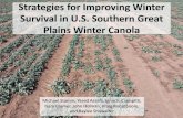 Strategies for Improving Winter Survival in U.S. Southern ...