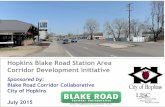 Hopkins Blake Road Station Area Corridor Development ...