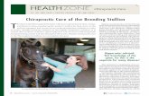 health zone Chiropractic Care - The Blood-Horse