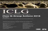 Class & Group Actions 2018 - mhmjapan